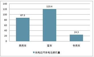 2019-2025年中國(guó)純電動(dòng)汽車(chē)市場(chǎng)調(diào)查與投資戰(zhàn)略分析報(bào)告